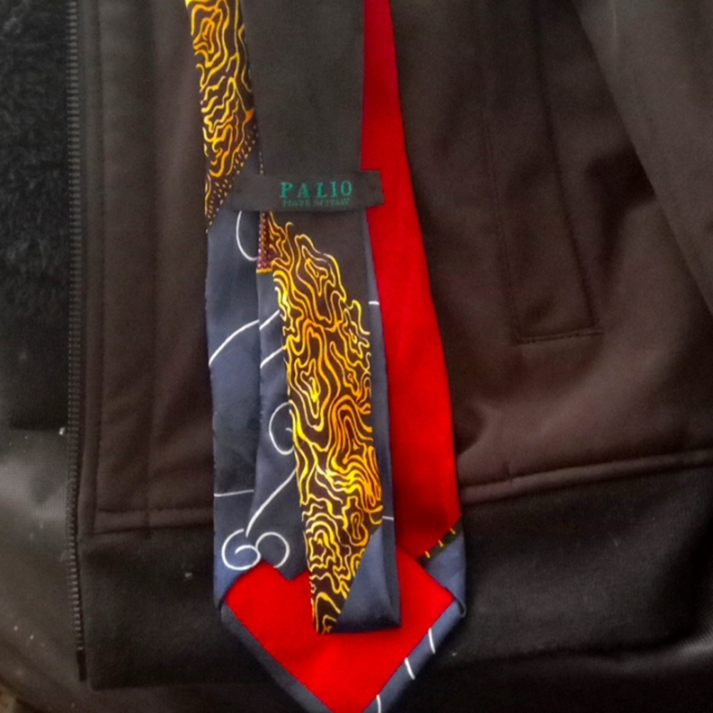Palio pure silk necktie